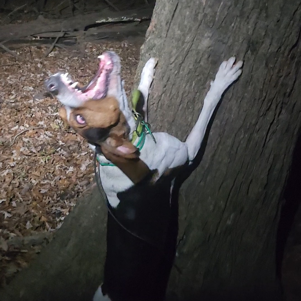 Meet your Posher, Brad